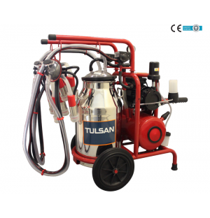 Klasik Tip Çift Sağım(İnek)